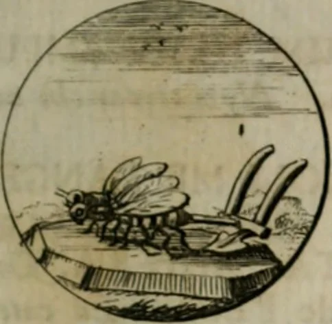 An illustration from Devises et emblemes anciennes & modernes, tirées des plus celebres auteurs, oder, Emblematische Gemüths-Vergnügung : bey Betrachtung siben hundert und funffzehen der curieusesten und ergötzlichen Sinn-Bildern, mit ihren zuständigen teutsch-lateinisch-französisch- und italianischen Beyschrifften, 1695, leaf 28