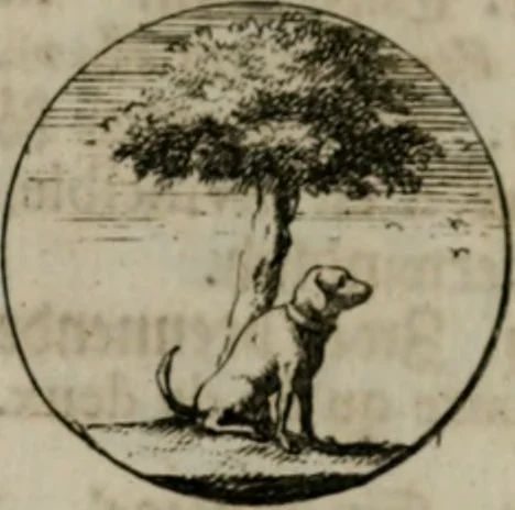 An illustration from Devises et emblemes anciennes & modernes, tirées des plus celebres auteurs, oder, Emblematische Gemüths-Vergnügung : bey Betrachtung siben hundert und funffzehen der curieusesten und ergötzlichen Sinn-Bildern, mit ihren zuständigen teutsch-lateinisch-französisch- und italianischen Beyschrifften, 1695, leaf 30