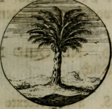 An illustration from Devises et emblemes anciennes & modernes, tirées des plus celebres auteurs, oder, Emblematische Gemüths-Vergnügung : bey Betrachtung siben hundert und funffzehen der curieusesten und ergötzlichen Sinn-Bildern, mit ihren zuständigen teutsch-lateinisch-französisch- und italianischen Beyschrifften, 1695, leaf 34