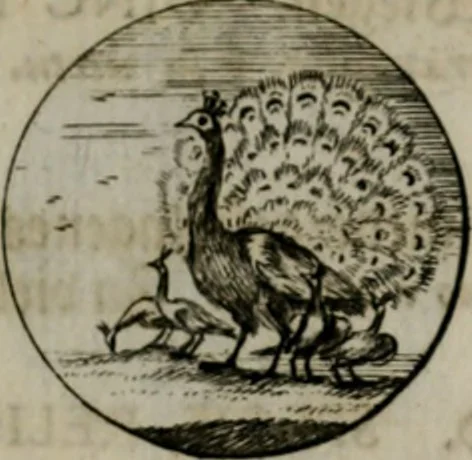An illustration from Devises et emblemes anciennes & modernes, tirées des plus celebres auteurs, oder, Emblematische Gemüths-Vergnügung : bey Betrachtung siben hundert und funffzehen der curieusesten und ergötzlichen Sinn-Bildern, mit ihren zuständigen teutsch-lateinisch-französisch- und italianischen Beyschrifften, 1695, leaf 34