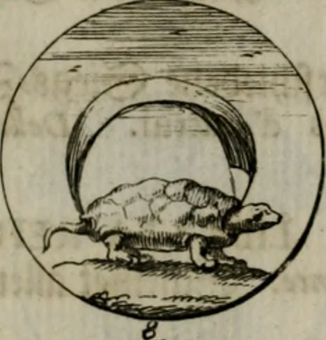 An illustration from Devises et emblemes anciennes & modernes, tirées des plus celebres auteurs, oder, Emblematische Gemüths-Vergnügung : bey Betrachtung siben hundert und funffzehen der curieusesten und ergötzlichen Sinn-Bildern, mit ihren zuständigen teutsch-lateinisch-französisch- und italianischen Beyschrifften, 1695, leaf 34