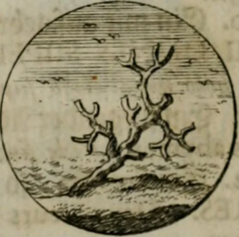 An illustration from Devises et emblemes anciennes & modernes, tirées des plus celebres auteurs, oder, Emblematische Gemüths-Vergnügung : bey Betrachtung siben hundert und funffzehen der curieusesten und ergötzlichen Sinn-Bildern, mit ihren zuständigen teutsch-lateinisch-französisch- und italianischen Beyschrifften, 1695, leaf 38