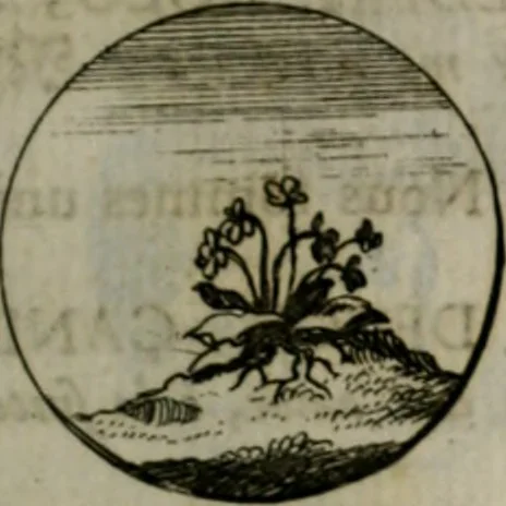 An illustration from Devises et emblemes anciennes & modernes, tirées des plus celebres auteurs, oder, Emblematische Gemüths-Vergnügung : bey Betrachtung siben hundert und funffzehen der curieusesten und ergötzlichen Sinn-Bildern, mit ihren zuständigen teutsch-lateinisch-französisch- und italianischen Beyschrifften, 1695, leaf 40