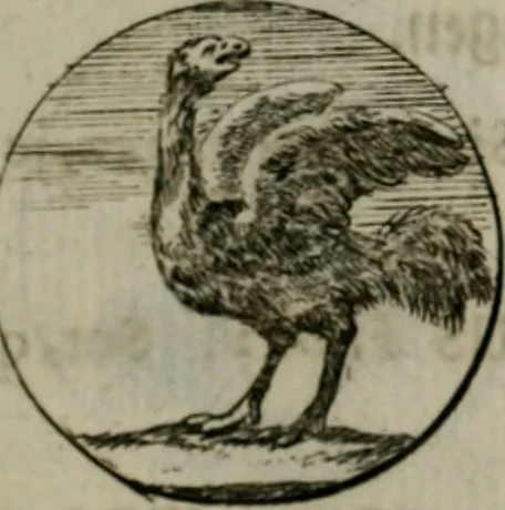 An illustration from Devises et emblemes anciennes & modernes, tirées des plus celebres auteurs, oder, Emblematische Gemüths-Vergnügung : bey Betrachtung siben hundert und funffzehen der curieusesten und ergötzlichen Sinn-Bildern, mit ihren zuständigen teutsch-lateinisch-französisch- und italianischen Beyschrifften, 1695, leaf 40