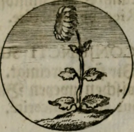 An illustration from Devises et emblemes anciennes & modernes, tirées des plus celebres auteurs, oder, Emblematische Gemüths-Vergnügung : bey Betrachtung siben hundert und funffzehen der curieusesten und ergötzlichen Sinn-Bildern, mit ihren zuständigen teutsch-lateinisch-französisch- und italianischen Beyschrifften, 1695, leaf 40
