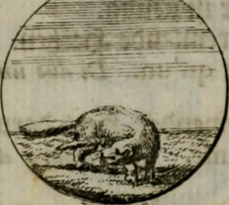 An illustration from Devises et emblemes anciennes & modernes, tirées des plus celebres auteurs, oder, Emblematische Gemüths-Vergnügung : bey Betrachtung siben hundert und funffzehen der curieusesten und ergötzlichen Sinn-Bildern, mit ihren zuständigen teutsch-lateinisch-französisch- und italianischen Beyschrifften, 1695, leaf 40
