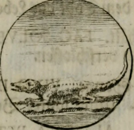 An illustration from Devises et emblemes anciennes & modernes, tirées des plus celebres auteurs, oder, Emblematische Gemüths-Vergnügung : bey Betrachtung siben hundert und funffzehen der curieusesten und ergötzlichen Sinn-Bildern, mit ihren zuständigen teutsch-lateinisch-französisch- und italianischen Beyschrifften, 1695, leaf 40