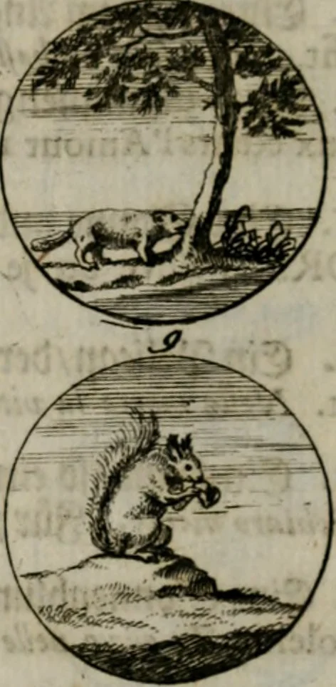An illustration from Devises et emblemes anciennes & modernes, tirées des plus celebres auteurs, oder, Emblematische Gemüths-Vergnügung : bey Betrachtung siben hundert und funffzehen der curieusesten und ergötzlichen Sinn-Bildern, mit ihren zuständigen teutsch-lateinisch-französisch- und italianischen Beyschrifften, 1695, leaf 40