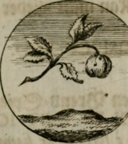 An illustration from Devises et emblemes anciennes & modernes, tirées des plus celebres auteurs, oder, Emblematische Gemüths-Vergnügung : bey Betrachtung siben hundert und funffzehen der curieusesten und ergötzlichen Sinn-Bildern, mit ihren zuständigen teutsch-lateinisch-französisch- und italianischen Beyschrifften, 1695, leaf 42