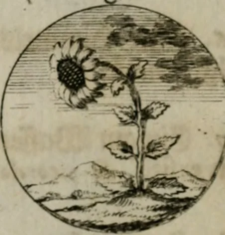An illustration from Devises et emblemes anciennes & modernes, tirées des plus celebres auteurs, oder, Emblematische Gemüths-Vergnügung : bey Betrachtung siben hundert und funffzehen der curieusesten und ergötzlichen Sinn-Bildern, mit ihren zuständigen teutsch-lateinisch-französisch- und italianischen Beyschrifften, 1695, leaf 42
