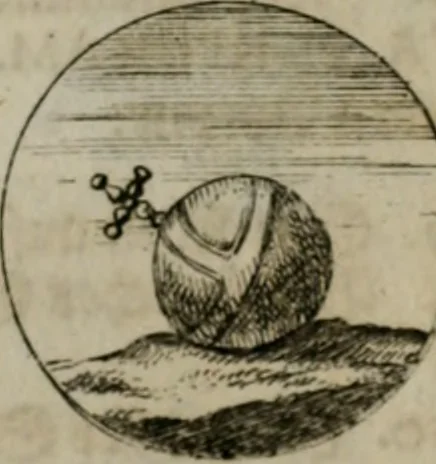 An illustration from Devises et emblemes anciennes & modernes, tirées des plus celebres auteurs, oder, Emblematische Gemüths-Vergnügung : bey Betrachtung siben hundert und funffzehen der curieusesten und ergötzlichen Sinn-Bildern, mit ihren zuständigen teutsch-lateinisch-französisch- und italianischen Beyschrifften, 1695, leaf 42