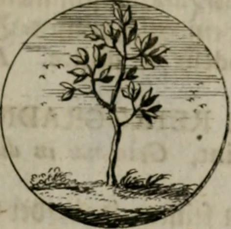 An illustration from Devises et emblemes anciennes & modernes, tirées des plus celebres auteurs, oder, Emblematische Gemüths-Vergnügung : bey Betrachtung siben hundert und funffzehen der curieusesten und ergötzlichen Sinn-Bildern, mit ihren zuständigen teutsch-lateinisch-französisch- und italianischen Beyschrifften, 1695, leaf 44