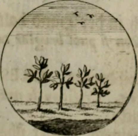 An illustration from Devises et emblemes anciennes & modernes, tirées des plus celebres auteurs, oder, Emblematische Gemüths-Vergnügung : bey Betrachtung siben hundert und funffzehen der curieusesten und ergötzlichen Sinn-Bildern, mit ihren zuständigen teutsch-lateinisch-französisch- und italianischen Beyschrifften, 1695, leaf 44