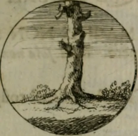 An illustration from Devises et emblemes anciennes & modernes, tirées des plus celebres auteurs, oder, Emblematische Gemüths-Vergnügung : bey Betrachtung siben hundert und funffzehen der curieusesten und ergötzlichen Sinn-Bildern, mit ihren zuständigen teutsch-lateinisch-französisch- und italianischen Beyschrifften, 1695, leaf 48
