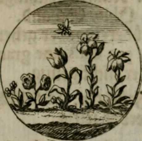 An illustration from Devises et emblemes anciennes & modernes, tirées des plus celebres auteurs, oder, Emblematische Gemüths-Vergnügung : bey Betrachtung siben hundert und funffzehen der curieusesten und ergötzlichen Sinn-Bildern, mit ihren zuständigen teutsch-lateinisch-französisch- und italianischen Beyschrifften, 1695, leaf 48