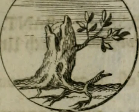 An illustration from Devises et emblemes anciennes & modernes, tirées des plus celebres auteurs, oder, Emblematische Gemüths-Vergnügung : bey Betrachtung siben hundert und funffzehen der curieusesten und ergötzlichen Sinn-Bildern, mit ihren zuständigen teutsch-lateinisch-französisch- und italianischen Beyschrifften, 1695, leaf 48
