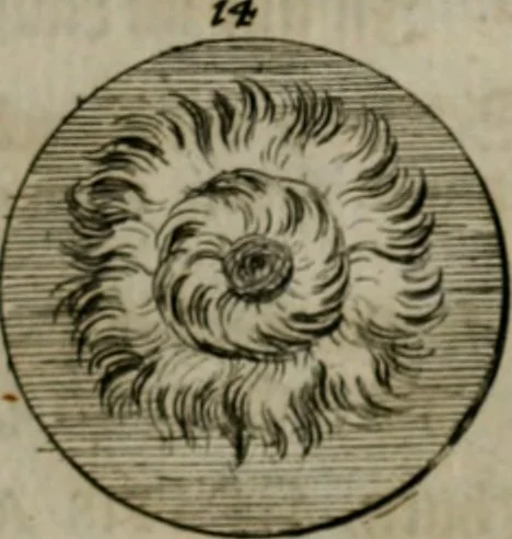 An illustration from Devises et emblemes anciennes & modernes, tirées des plus celebres auteurs, oder, Emblematische Gemüths-Vergnügung : bey Betrachtung siben hundert und funffzehen der curieusesten und ergötzlichen Sinn-Bildern, mit ihren zuständigen teutsch-lateinisch-französisch- und italianischen Beyschrifften, 1695, leaf 48