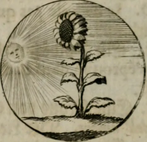 An illustration from Devises et emblemes anciennes & modernes, tirées des plus celebres auteurs, oder, Emblematische Gemüths-Vergnügung : bey Betrachtung siben hundert und funffzehen der curieusesten und ergötzlichen Sinn-Bildern, mit ihren zuständigen teutsch-lateinisch-französisch- und italianischen Beyschrifften, 1695, leaf 48