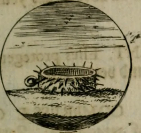 An illustration from Devises et emblemes anciennes & modernes, tirées des plus celebres auteurs, oder, Emblematische Gemüths-Vergnügung : bey Betrachtung siben hundert und funffzehen der curieusesten und ergötzlichen Sinn-Bildern, mit ihren zuständigen teutsch-lateinisch-französisch- und italianischen Beyschrifften, 1695, leaf 50