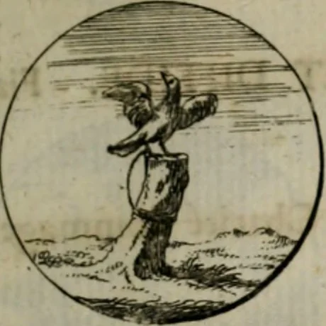 An illustration from Devises et emblemes anciennes & modernes, tirées des plus celebres auteurs, oder, Emblematische Gemüths-Vergnügung : bey Betrachtung siben hundert und funffzehen der curieusesten und ergötzlichen Sinn-Bildern, mit ihren zuständigen teutsch-lateinisch-französisch- und italianischen Beyschrifften, 1695, leaf 50