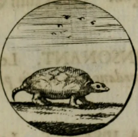 An illustration from Devises et emblemes anciennes & modernes, tirées des plus celebres auteurs, oder, Emblematische Gemüths-Vergnügung : bey Betrachtung siben hundert und funffzehen der curieusesten und ergötzlichen Sinn-Bildern, mit ihren zuständigen teutsch-lateinisch-französisch- und italianischen Beyschrifften, 1695, leaf 50