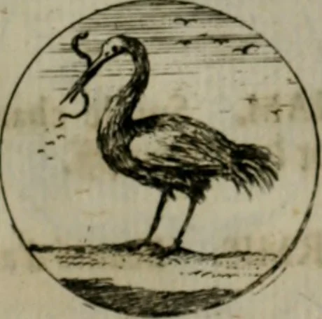 An illustration from Devises et emblemes anciennes & modernes, tirées des plus celebres auteurs, oder, Emblematische Gemüths-Vergnügung : bey Betrachtung siben hundert und funffzehen der curieusesten und ergötzlichen Sinn-Bildern, mit ihren zuständigen teutsch-lateinisch-französisch- und italianischen Beyschrifften, 1695, leaf 50