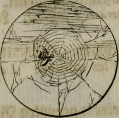 An illustration from Devises et emblemes anciennes & modernes, tirées des plus celebres auteurs, oder, Emblematische Gemüths-Vergnügung : bey Betrachtung siben hundert und funffzehen der curieusesten und ergötzlichen Sinn-Bildern, mit ihren zuständigen teutsch-lateinisch-französisch- und italianischen Beyschrifften, 1695, leaf 50