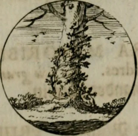 An illustration from Devises et emblemes anciennes & modernes, tirées des plus celebres auteurs, oder, Emblematische Gemüths-Vergnügung : bey Betrachtung siben hundert und funffzehen der curieusesten und ergötzlichen Sinn-Bildern, mit ihren zuständigen teutsch-lateinisch-französisch- und italianischen Beyschrifften, 1695, leaf 50