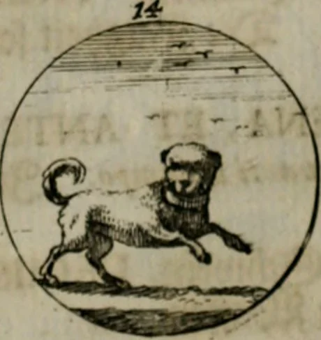 An illustration from Devises et emblemes anciennes & modernes, tirées des plus celebres auteurs, oder, Emblematische Gemüths-Vergnügung : bey Betrachtung siben hundert und funffzehen der curieusesten und ergötzlichen Sinn-Bildern, mit ihren zuständigen teutsch-lateinisch-französisch- und italianischen Beyschrifften, 1695, leaf 50