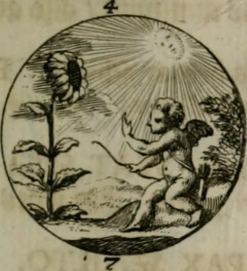 An illustration from Devises et emblemes anciennes & modernes, tirées des plus celebres auteurs, oder, Emblematische Gemüths-Vergnügung : bey Betrachtung siben hundert und funffzehen der curieusesten und ergötzlichen Sinn-Bildern, mit ihren zuständigen teutsch-lateinisch-französisch- und italianischen Beyschrifften, 1695, leaf 54