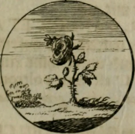 An illustration from Devises et emblemes anciennes & modernes, tirées des plus celebres auteurs, oder, Emblematische Gemüths-Vergnügung : bey Betrachtung siben hundert und funffzehen der curieusesten und ergötzlichen Sinn-Bildern, mit ihren zuständigen teutsch-lateinisch-französisch- und italianischen Beyschrifften, 1695, leaf 54