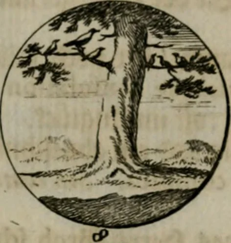 An illustration from Devises et emblemes anciennes & modernes, tirées des plus celebres auteurs, oder, Emblematische Gemüths-Vergnügung : bey Betrachtung siben hundert und funffzehen der curieusesten und ergötzlichen Sinn-Bildern, mit ihren zuständigen teutsch-lateinisch-französisch- und italianischen Beyschrifften, 1695, leaf 54
