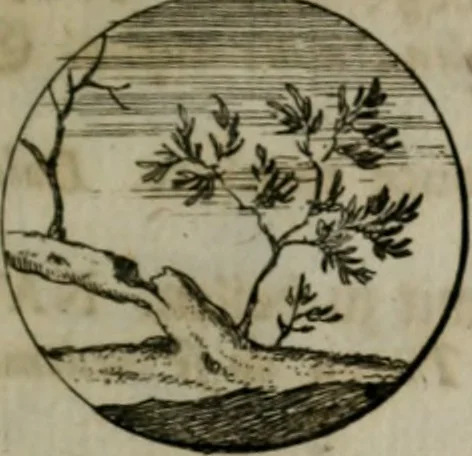 An illustration from Devises et emblemes anciennes & modernes, tirées des plus celebres auteurs, oder, Emblematische Gemüths-Vergnügung : bey Betrachtung siben hundert und funffzehen der curieusesten und ergötzlichen Sinn-Bildern, mit ihren zuständigen teutsch-lateinisch-französisch- und italianischen Beyschrifften, 1695, leaf 56