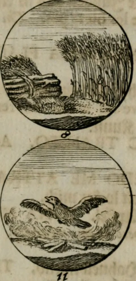 An illustration from Devises et emblemes anciennes & modernes, tirées des plus celebres auteurs, oder, Emblematische Gemüths-Vergnügung : bey Betrachtung siben hundert und funffzehen der curieusesten und ergötzlichen Sinn-Bildern, mit ihren zuständigen teutsch-lateinisch-französisch- und italianischen Beyschrifften, 1695, leaf 56