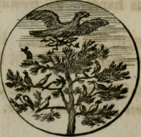An illustration from Devises et emblemes anciennes & modernes, tirées des plus celebres auteurs, oder, Emblematische Gemüths-Vergnügung : bey Betrachtung siben hundert und funffzehen der curieusesten und ergötzlichen Sinn-Bildern, mit ihren zuständigen teutsch-lateinisch-französisch- und italianischen Beyschrifften, 1695, leaf 56
