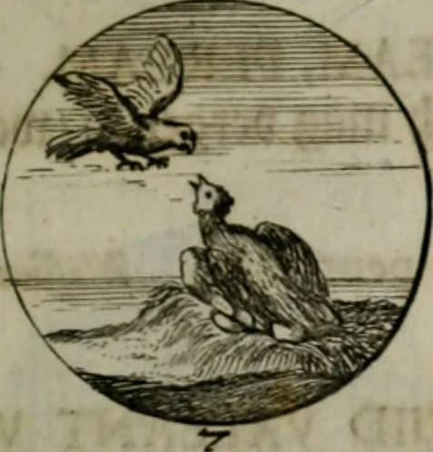 An illustration from Devises et emblemes anciennes & modernes, tirées des plus celebres auteurs, oder, Emblematische Gemüths-Vergnügung : bey Betrachtung siben hundert und funffzehen der curieusesten und ergötzlichen Sinn-Bildern, mit ihren zuständigen teutsch-lateinisch-französisch- und italianischen Beyschrifften, 1695, leaf 58