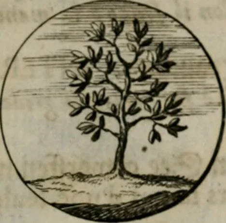 An illustration from Devises et emblemes anciennes & modernes, tirées des plus celebres auteurs, oder, Emblematische Gemüths-Vergnügung : bey Betrachtung siben hundert und funffzehen der curieusesten und ergötzlichen Sinn-Bildern, mit ihren zuständigen teutsch-lateinisch-französisch- und italianischen Beyschrifften, 1695, leaf 58