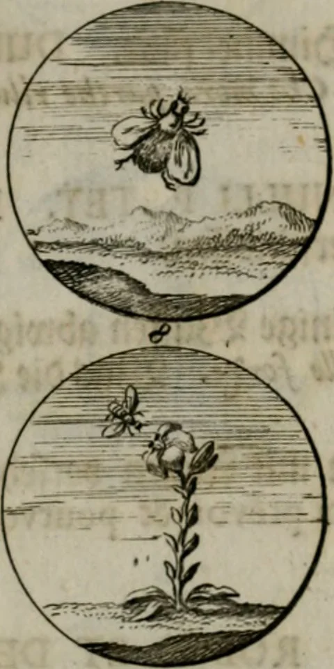 An illustration from Devises et emblemes anciennes & modernes, tirées des plus celebres auteurs, oder, Emblematische Gemüths-Vergnügung : bey Betrachtung siben hundert und funffzehen der curieusesten und ergötzlichen Sinn-Bildern, mit ihren zuständigen teutsch-lateinisch-französisch- und italianischen Beyschrifften, 1695, leaf 58