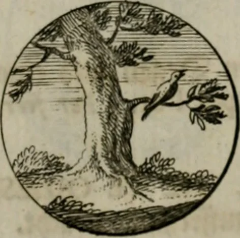 An illustration from Devises et emblemes anciennes & modernes, tirées des plus celebres auteurs, oder, Emblematische Gemüths-Vergnügung : bey Betrachtung siben hundert und funffzehen der curieusesten und ergötzlichen Sinn-Bildern, mit ihren zuständigen teutsch-lateinisch-französisch- und italianischen Beyschrifften, 1695, leaf 58