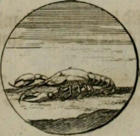 An illustration from Devises et emblemes anciennes & modernes, tirées des plus celebres auteurs, oder, Emblematische Gemüths-Vergnügung : bey Betrachtung siben hundert und funffzehen der curieusesten und ergötzlichen Sinn-Bildern, mit ihren zuständigen teutsch-lateinisch-französisch- und italianischen Beyschrifften, 1695, leaf 58