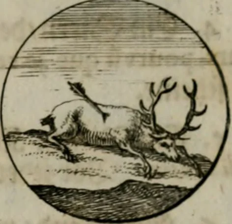 An illustration from Devises et emblemes anciennes & modernes, tirées des plus celebres auteurs, oder, Emblematische Gemüths-Vergnügung : bey Betrachtung siben hundert und funffzehen der curieusesten und ergötzlichen Sinn-Bildern, mit ihren zuständigen teutsch-lateinisch-französisch- und italianischen Beyschrifften, 1695, leaf 58