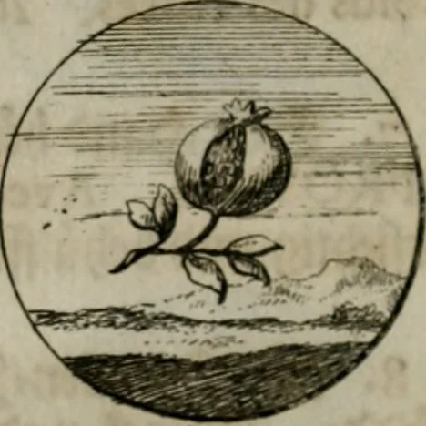 An illustration from Devises et emblemes anciennes & modernes, tirées des plus celebres auteurs, oder, Emblematische Gemüths-Vergnügung : bey Betrachtung siben hundert und funffzehen der curieusesten und ergötzlichen Sinn-Bildern, mit ihren zuständigen teutsch-lateinisch-französisch- und italianischen Beyschrifften, 1695, leaf 58