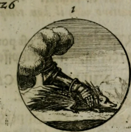 An illustration from Devises et emblemes anciennes & modernes, tirées des plus celebres auteurs, oder, Emblematische Gemüths-Vergnügung : bey Betrachtung siben hundert und funffzehen der curieusesten und ergötzlichen Sinn-Bildern, mit ihren zuständigen teutsch-lateinisch-französisch- und italianischen Beyschrifften, 1695, leaf 60