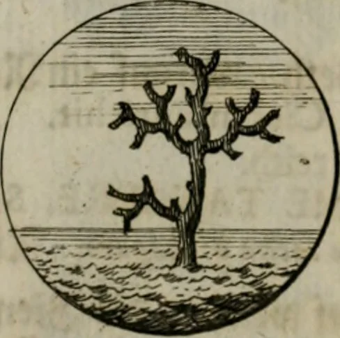An illustration from Devises et emblemes anciennes & modernes, tirées des plus celebres auteurs, oder, Emblematische Gemüths-Vergnügung : bey Betrachtung siben hundert und funffzehen der curieusesten und ergötzlichen Sinn-Bildern, mit ihren zuständigen teutsch-lateinisch-französisch- und italianischen Beyschrifften, 1695, leaf 60