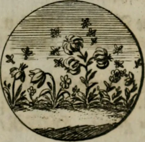 An illustration from Devises et emblemes anciennes & modernes, tirées des plus celebres auteurs, oder, Emblematische Gemüths-Vergnügung : bey Betrachtung siben hundert und funffzehen der curieusesten und ergötzlichen Sinn-Bildern, mit ihren zuständigen teutsch-lateinisch-französisch- und italianischen Beyschrifften, 1695, leaf 62