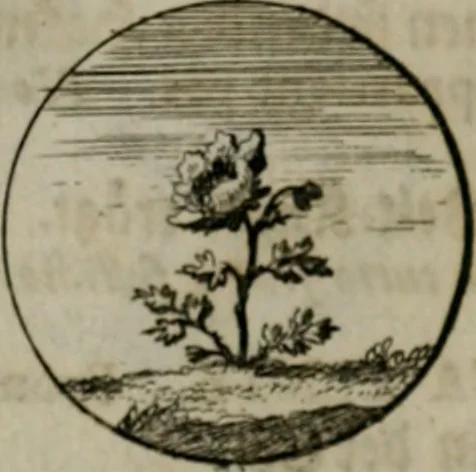 An illustration from Devises et emblemes anciennes & modernes, tirées des plus celebres auteurs, oder, Emblematische Gemüths-Vergnügung : bey Betrachtung siben hundert und funffzehen der curieusesten und ergötzlichen Sinn-Bildern, mit ihren zuständigen teutsch-lateinisch-französisch- und italianischen Beyschrifften, 1695, leaf 62
