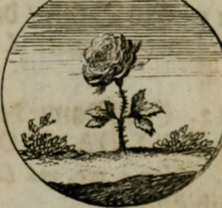 An illustration from Devises et emblemes anciennes & modernes, tirées des plus celebres auteurs, oder, Emblematische Gemüths-Vergnügung : bey Betrachtung siben hundert und funffzehen der curieusesten und ergötzlichen Sinn-Bildern, mit ihren zuständigen teutsch-lateinisch-französisch- und italianischen Beyschrifften, 1695, leaf 62