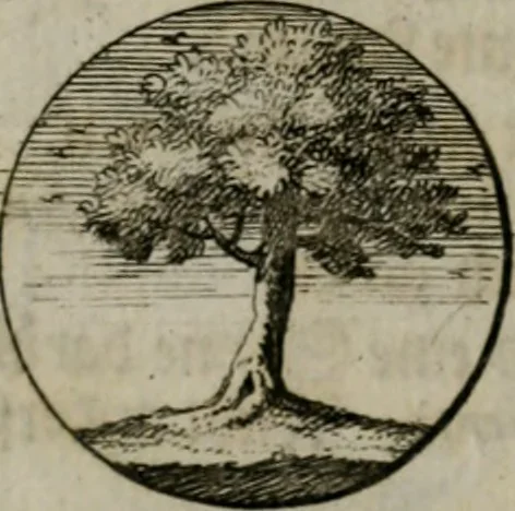 An illustration from Devises et emblemes anciennes & modernes, tirées des plus celebres auteurs, oder, Emblematische Gemüths-Vergnügung : bey Betrachtung siben hundert und funffzehen der curieusesten und ergötzlichen Sinn-Bildern, mit ihren zuständigen teutsch-lateinisch-französisch- und italianischen Beyschrifften, 1695, leaf 64