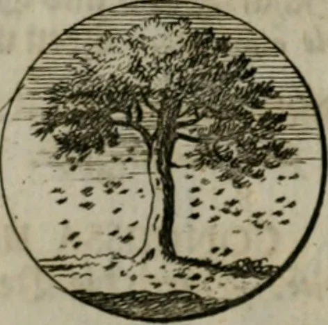 An illustration from Devises et emblemes anciennes & modernes, tirées des plus celebres auteurs, oder, Emblematische Gemüths-Vergnügung : bey Betrachtung siben hundert und funffzehen der curieusesten und ergötzlichen Sinn-Bildern, mit ihren zuständigen teutsch-lateinisch-französisch- und italianischen Beyschrifften, 1695, leaf 64