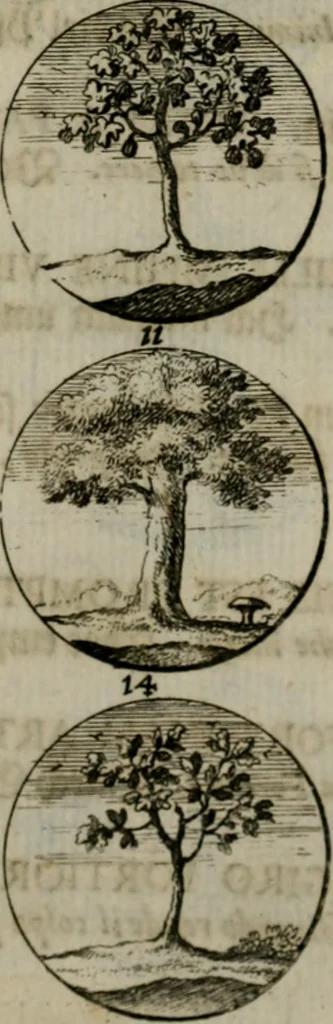 An illustration from Devises et emblemes anciennes & modernes, tirées des plus celebres auteurs, oder, Emblematische Gemüths-Vergnügung : bey Betrachtung siben hundert und funffzehen der curieusesten und ergötzlichen Sinn-Bildern, mit ihren zuständigen teutsch-lateinisch-französisch- und italianischen Beyschrifften, 1695, leaf 66